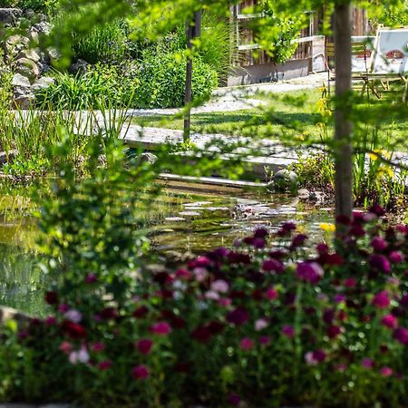 Der Baum Hideaway Apartman Inzersdorf im Kremstal Kültér fotó
