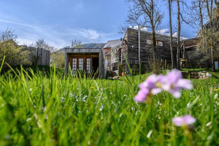 Der Baum Hideaway Apartman Inzersdorf im Kremstal Kültér fotó