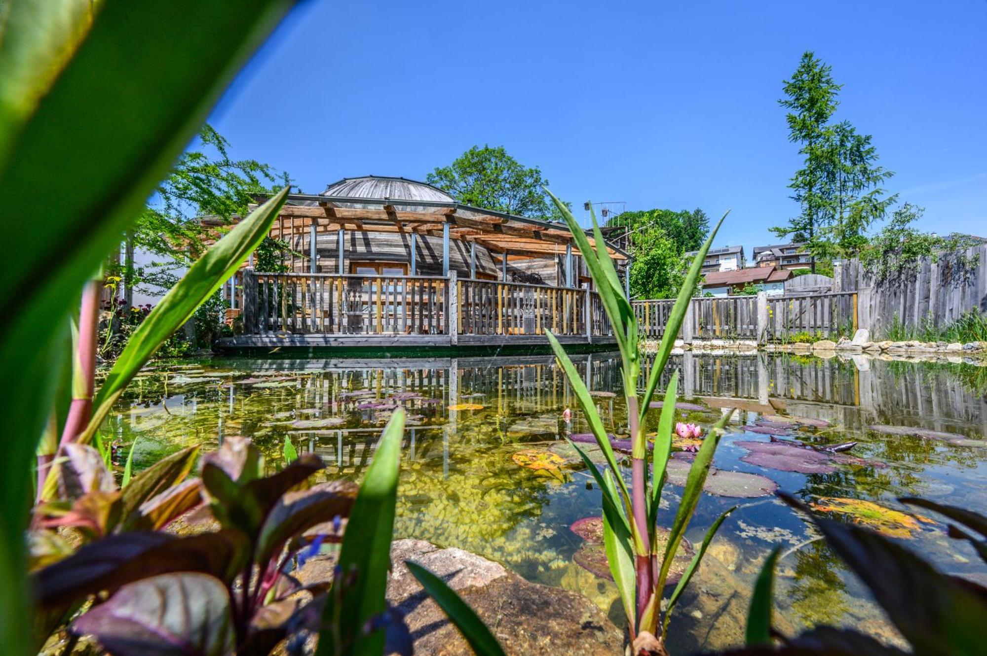 Der Baum Hideaway Apartman Inzersdorf im Kremstal Kültér fotó